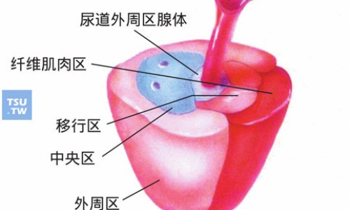 中草药独活的作用网—知名的独活中药材功能主治网站,分享中草药独活的作用与功效知识